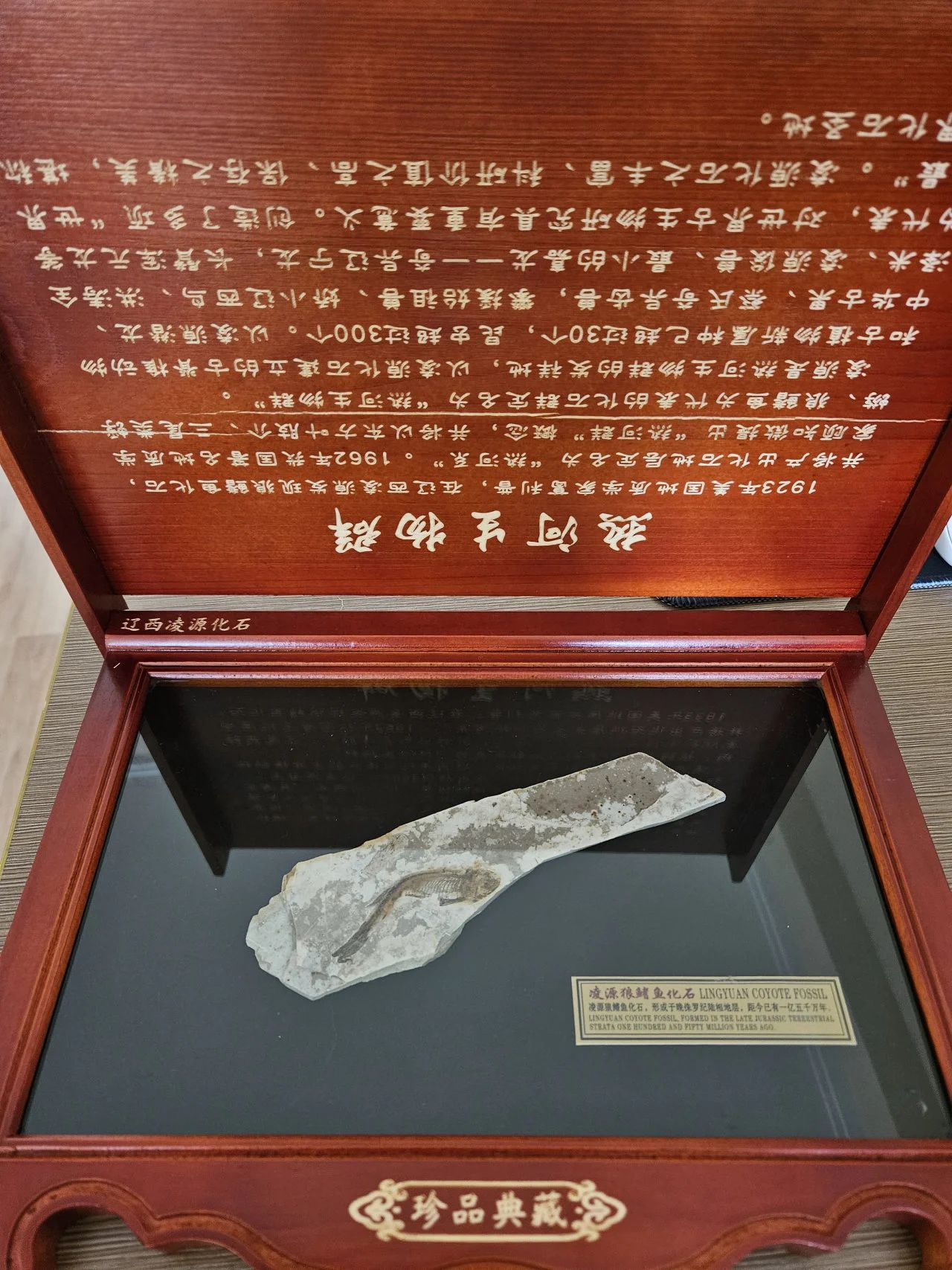 雷火电竞