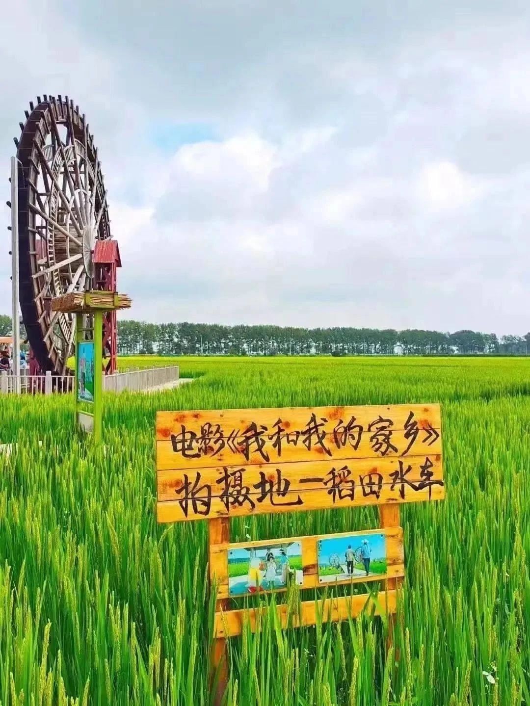 雷火电竞