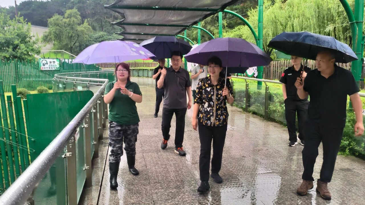 雷火电竞