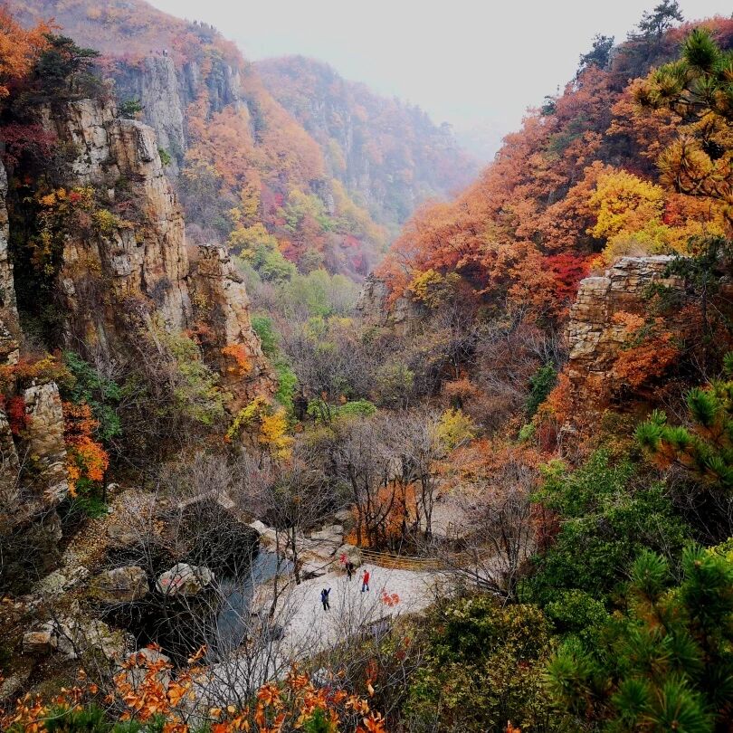 雷火电竞